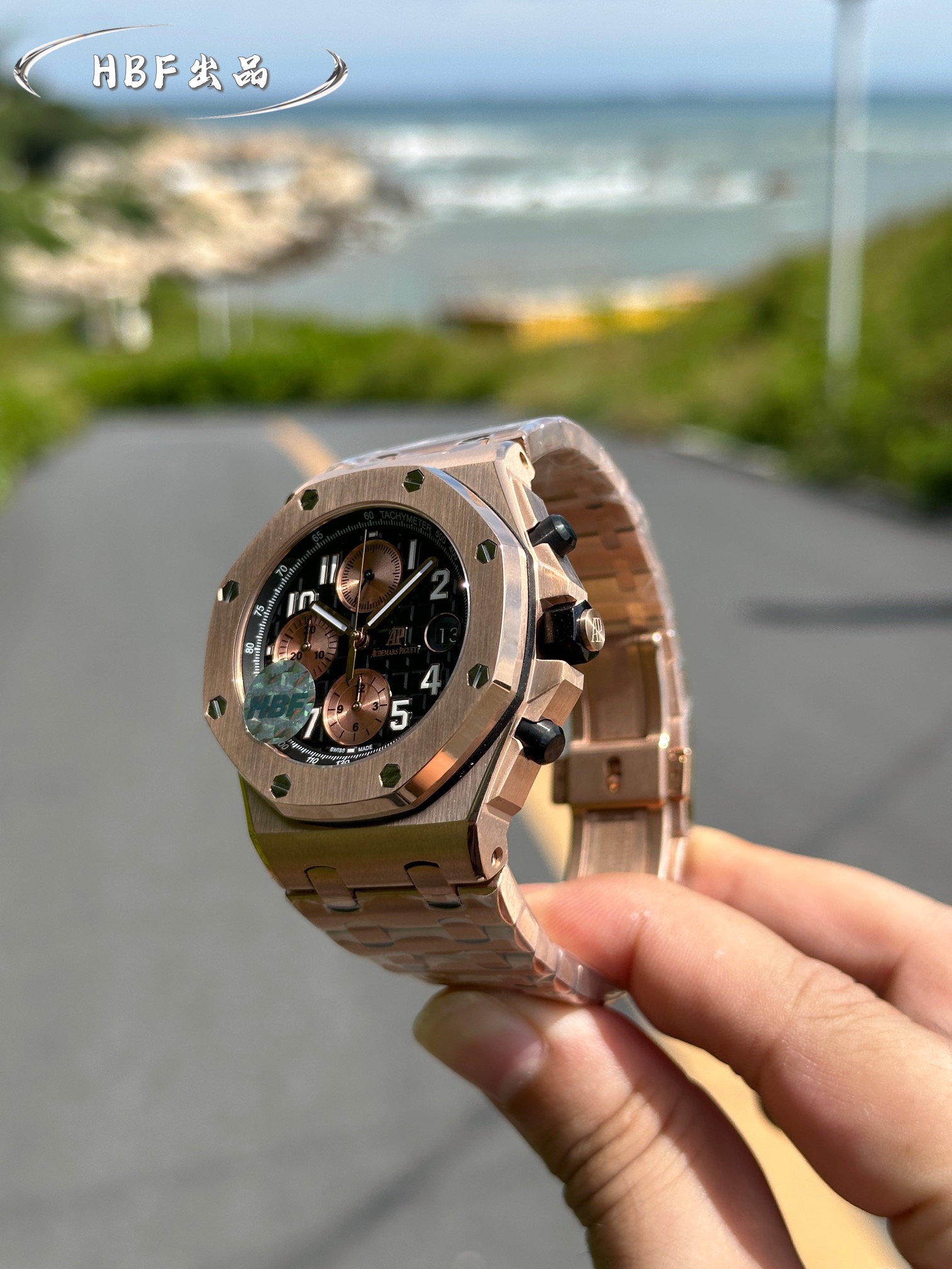 Audemars Piguet watch